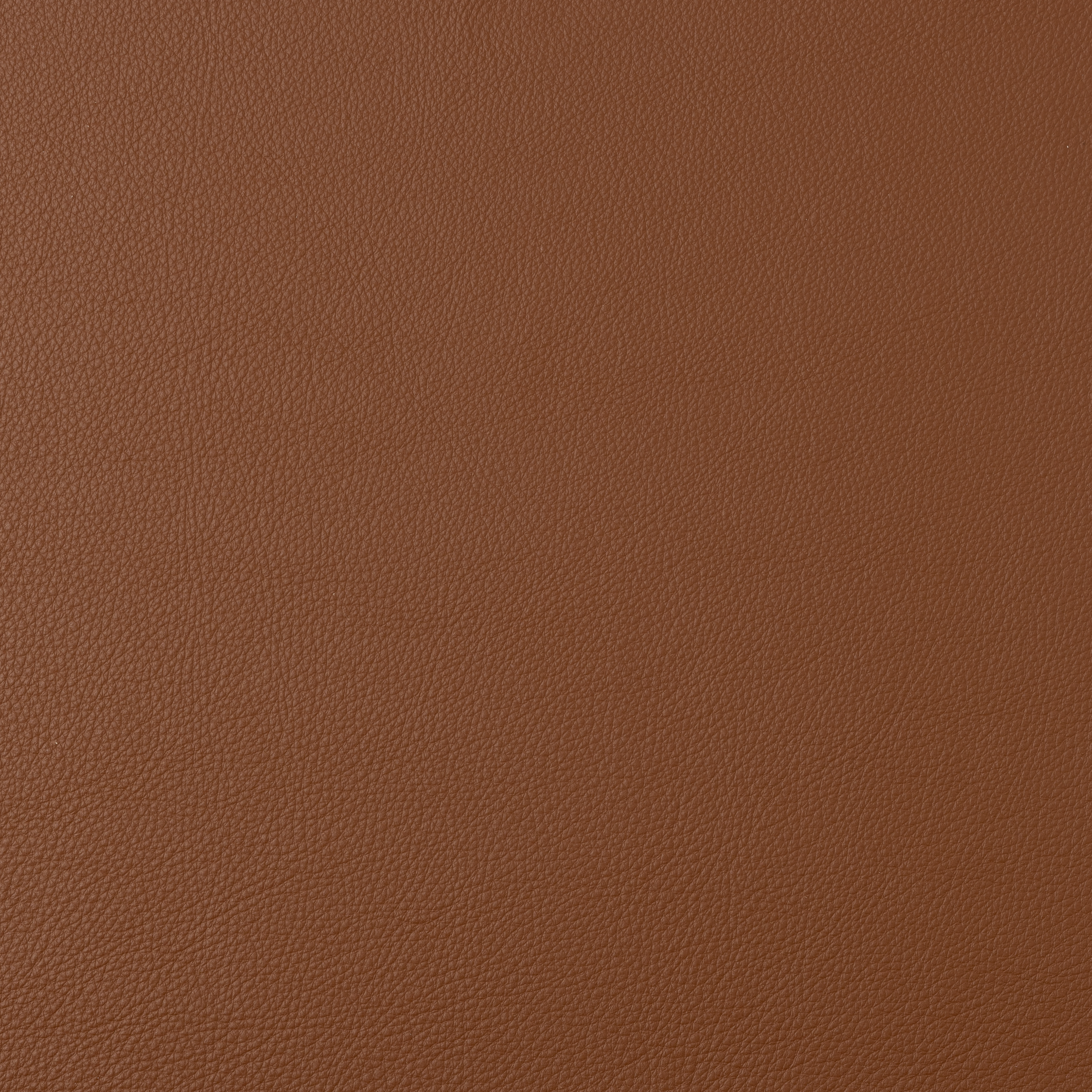 Soft buttery leather for professional application to photo Albums, Books or Boxes in cognac neutral color tone.