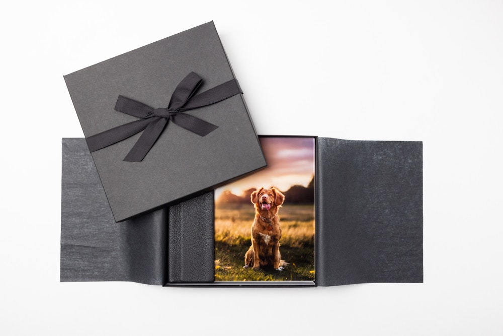 Square Combo Cover Album featuring pet portraits of a golden retriever delivered in a charcoal Premium Packaging box, wrapped in black tissue paper, and tied with a black ribbon.