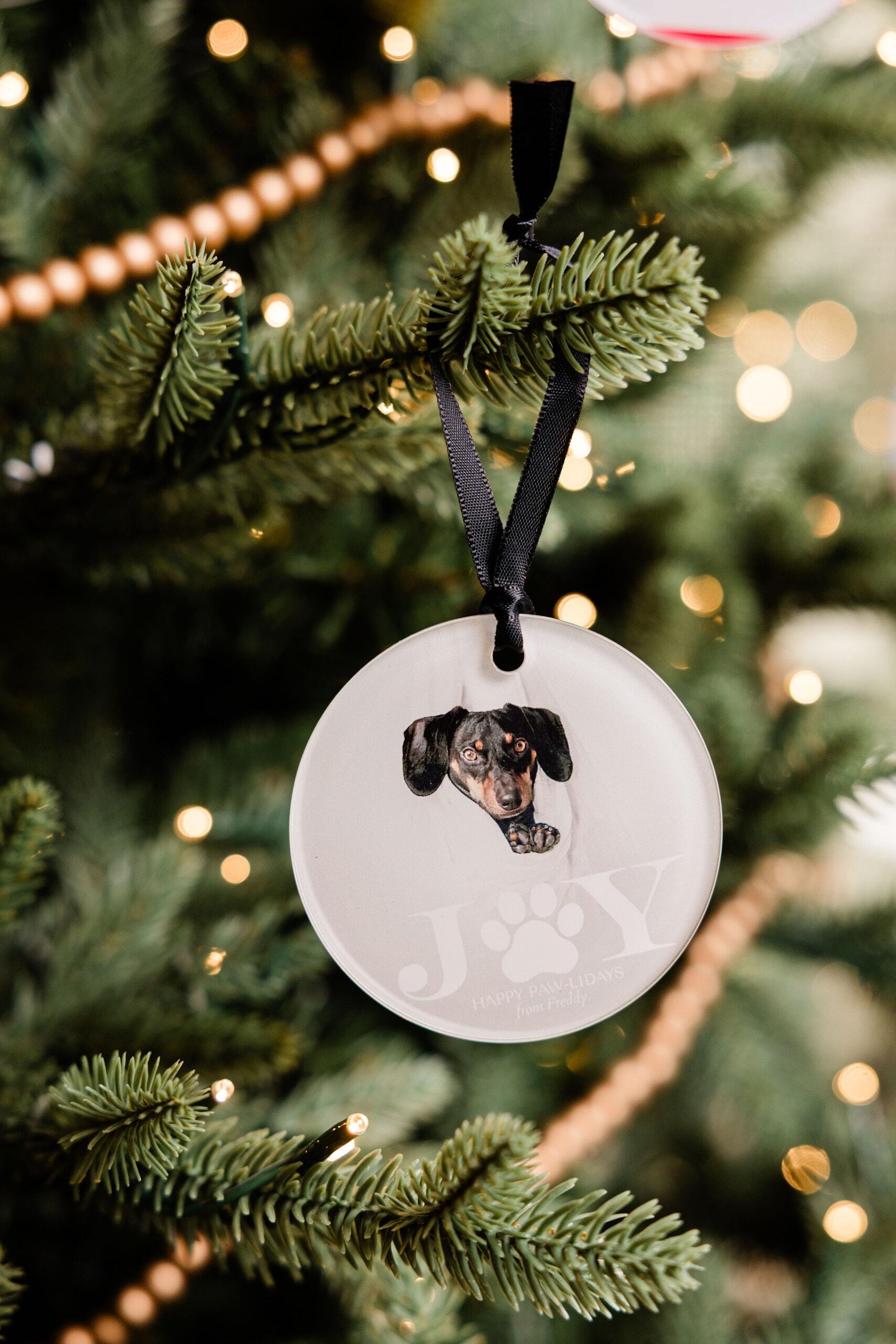Personalized acrylic pet ornament with a dog photo and "Happy Paw-lidays" message hanging on a Christmas tree
