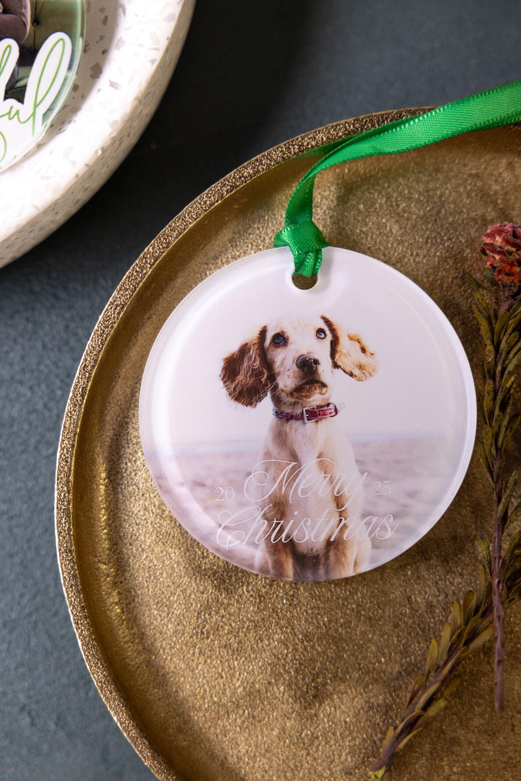 Acrylic pet ornament with a dog portrait and Merry Christmas message, tied with green satin ribbon on a gold tray