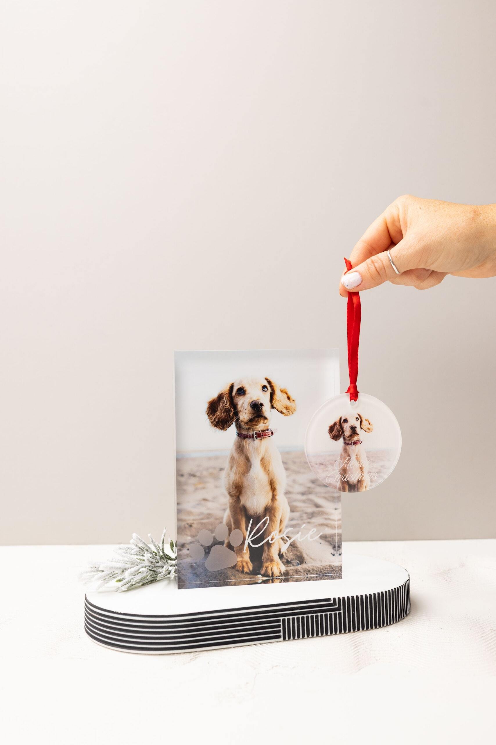 Acrylic pet ornament of a dog named Rosie with red satin ribbon, displayed beside a matching Acrylic Block