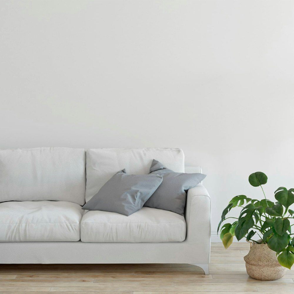 Blank wall behind a white couch with gray pillows, Monstera plant in a basket on the floor