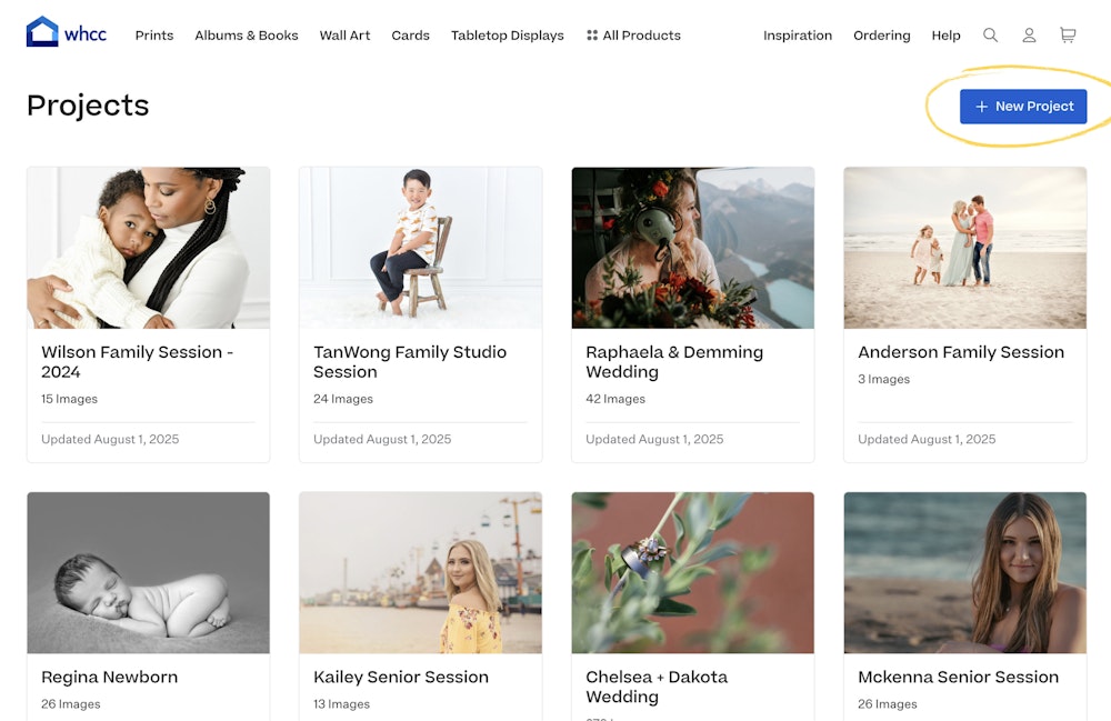 New Project button circled on the Studio Projects page