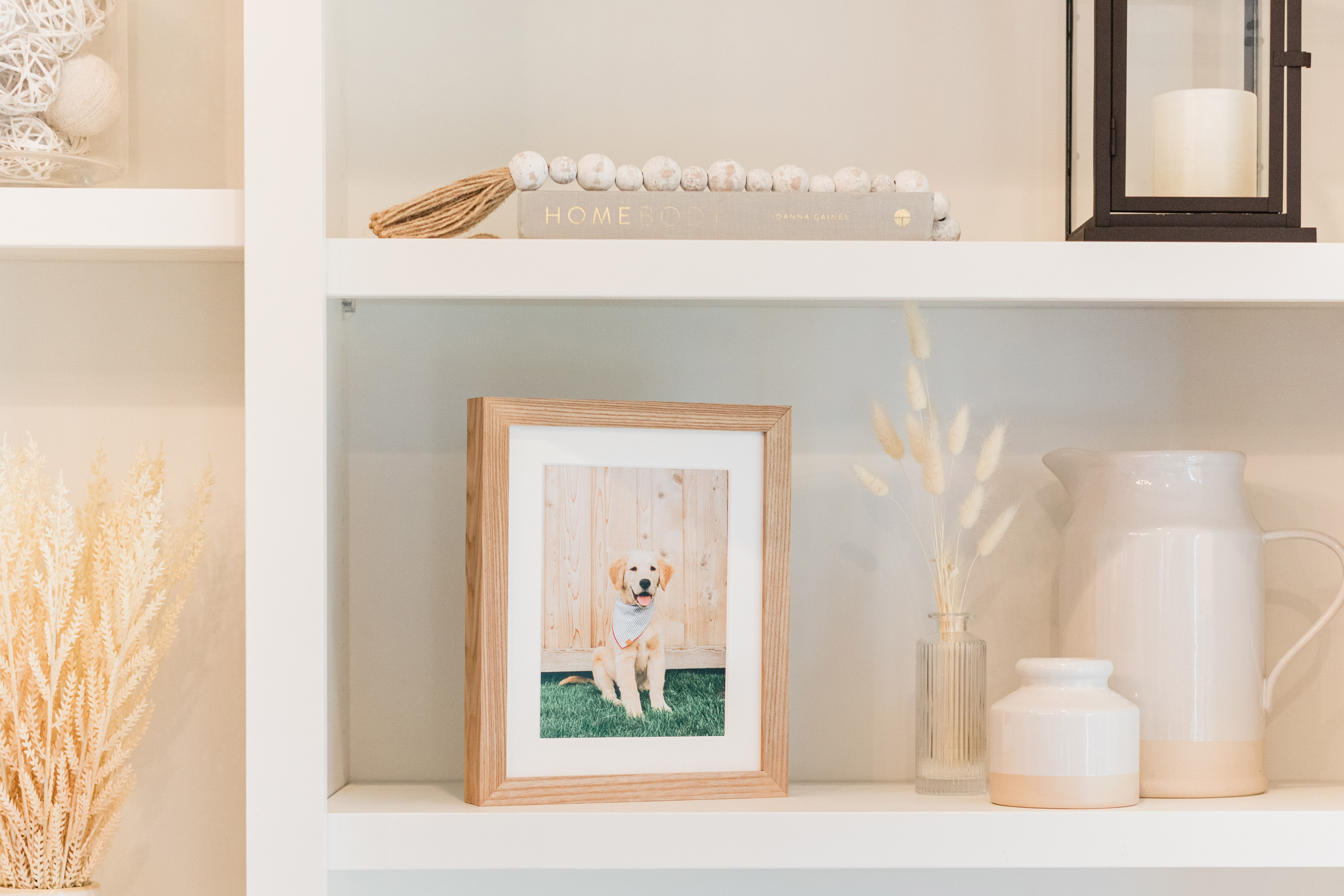 a framed fine art print portrait of a dog on a shelf with other books and home decor